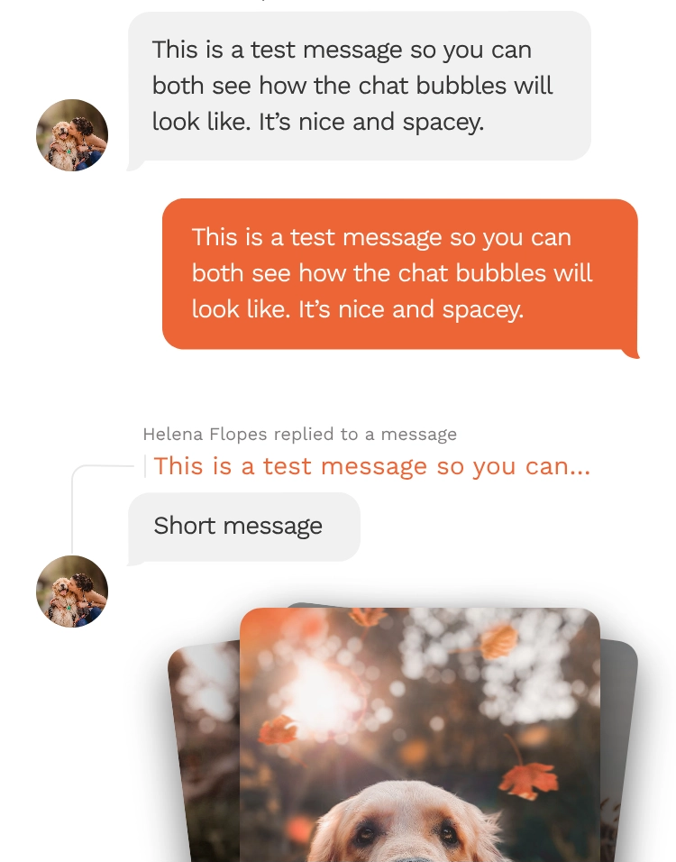 Screenshot showing the Messages tool