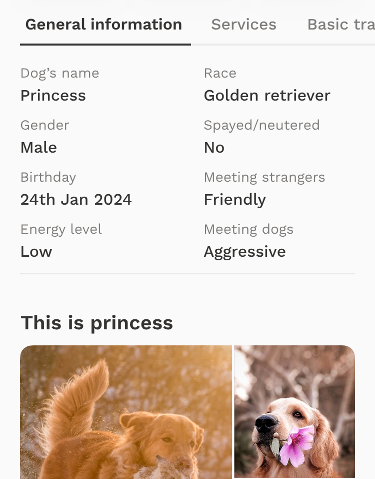 Illustration for Tell Us About Your Pup