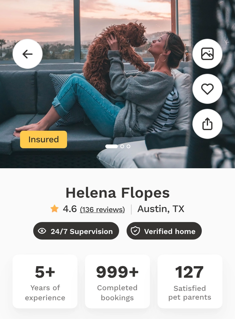 Screenshot showing the Profile tool