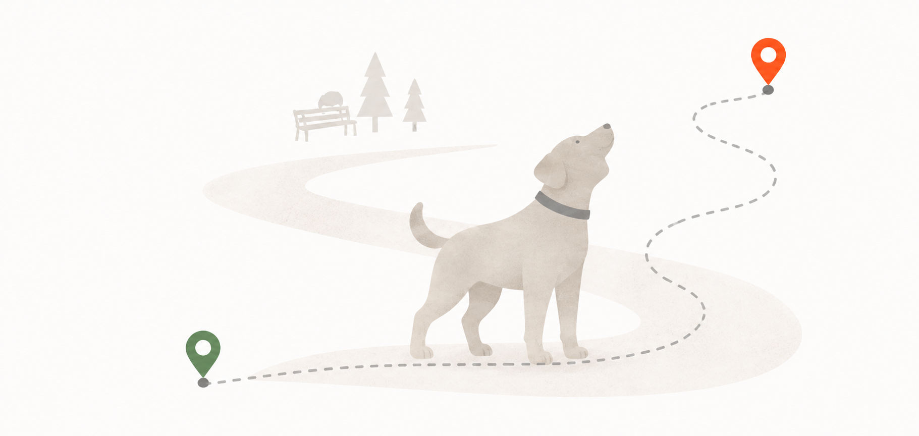 Muted dog walking route illustration with park pins